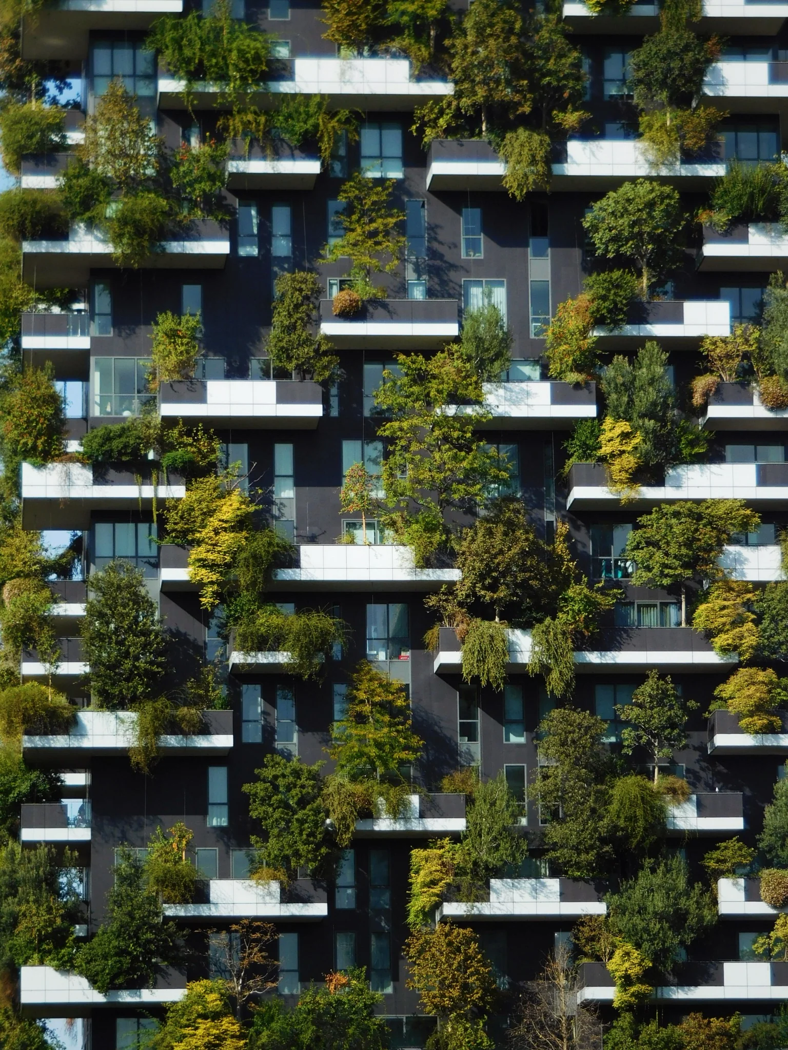 Going Green: Kenya’s Buildings and Construction Industry